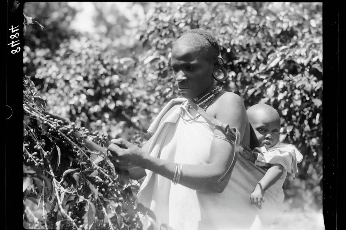 If you’re a fan of the film Out of Africa, you might have heard of Baroness Karen Blixen, played by Meryl Streep. The film depicts her coffee farm in the Ngong Hills, southwest of Nairobi. Born in Denmark in 1885, Baroness Blixen dreamed of living&owning